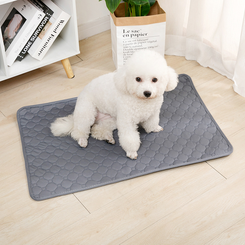 Reusable Dog Pee Pad Blanket A - Mattress Protector Waterproof ulasan dan harga